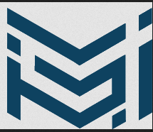 Visa Info Logo